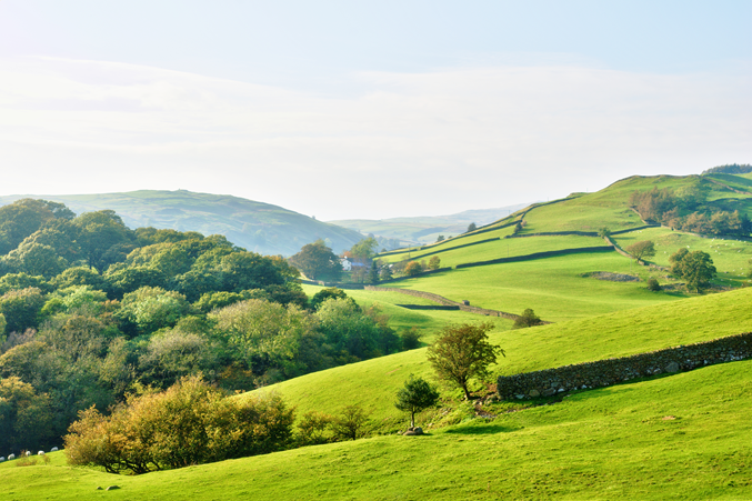 Green hills and fields