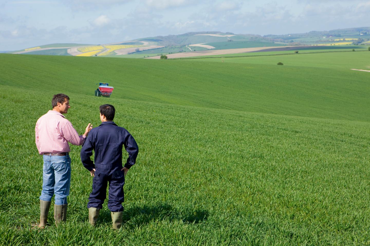 Two men stood in green wheat field