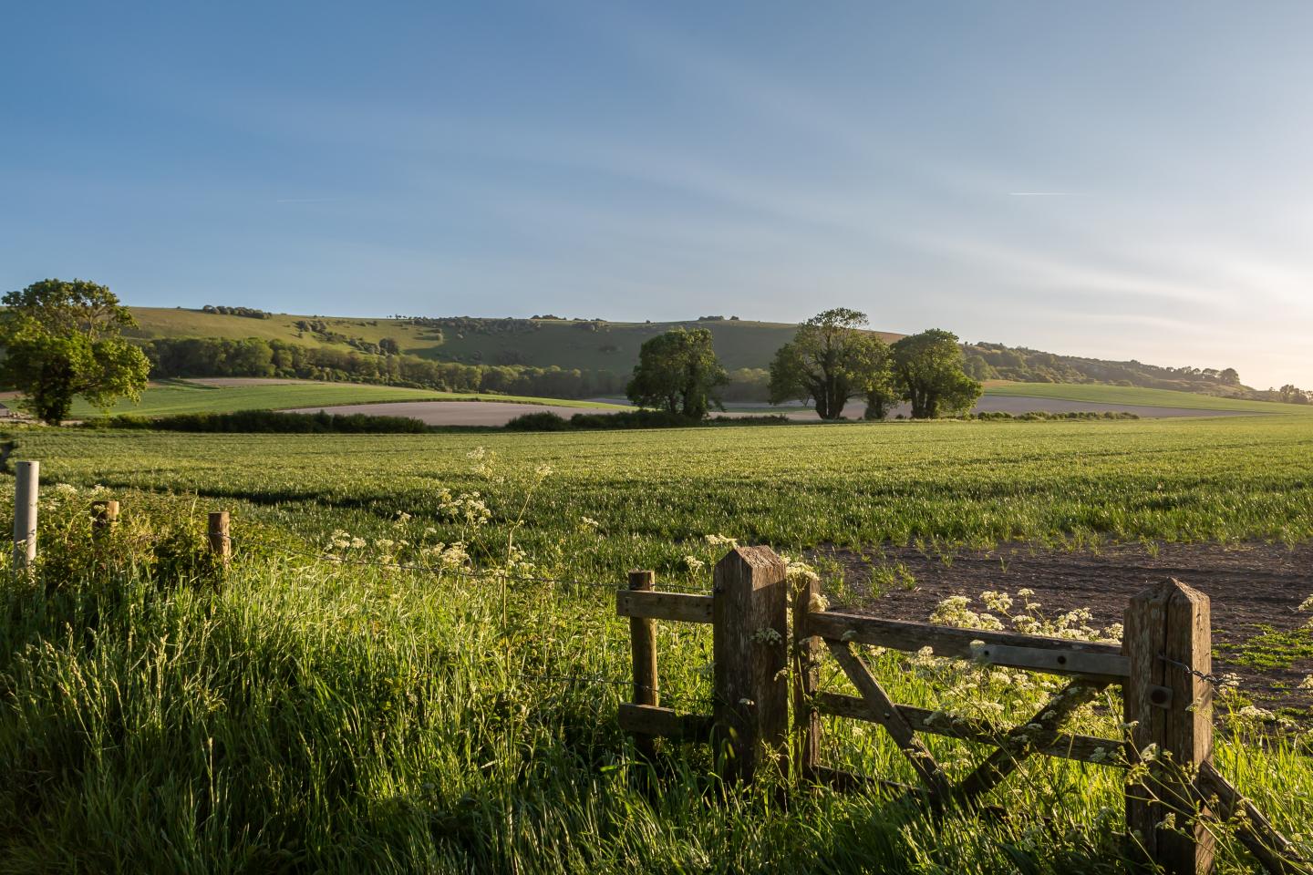 Field with gate in the sunshine