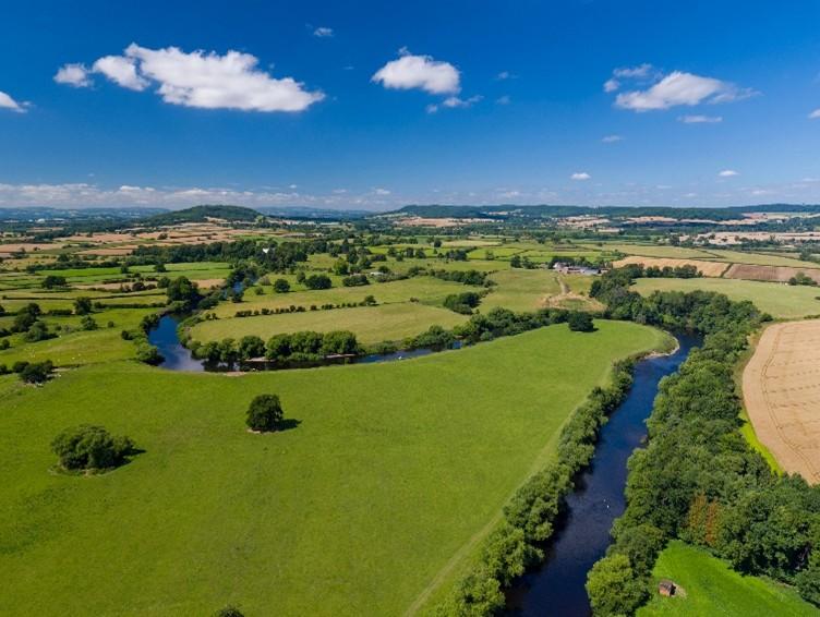 Aerial photo of sunny winding river