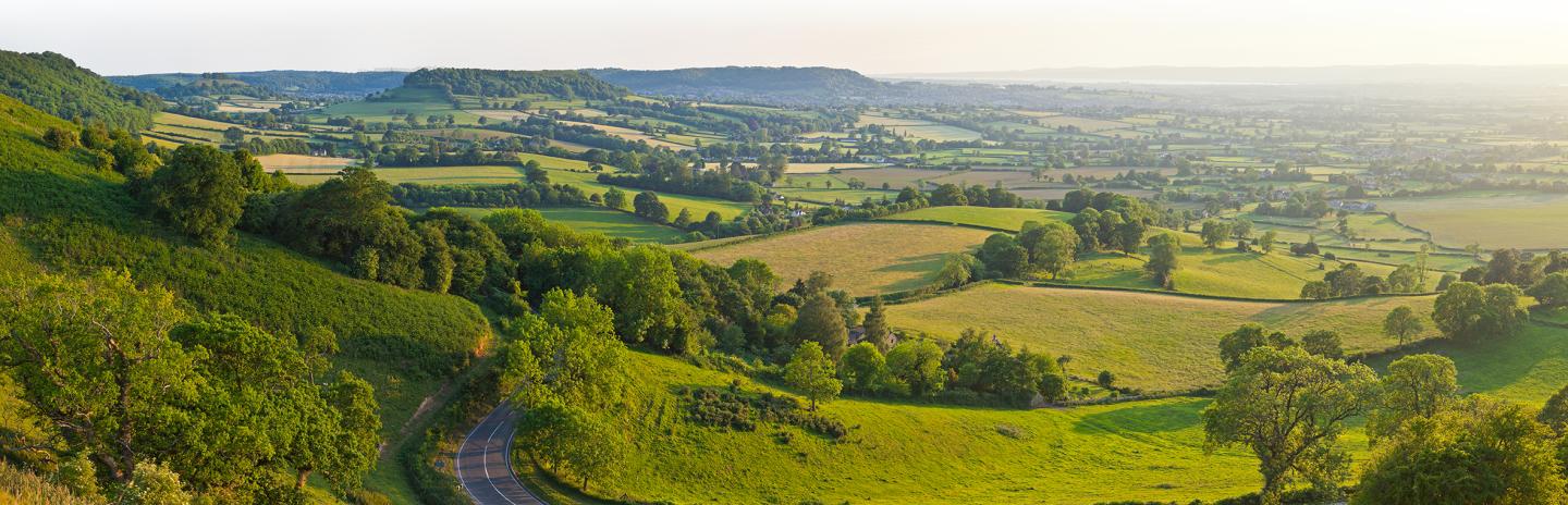 Farming landscape panoramic