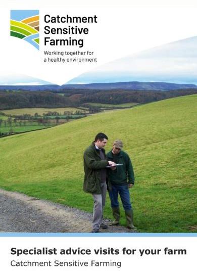 CSF specialist Advice front page