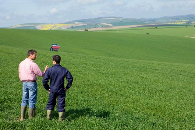 Two men stood in green wheat field