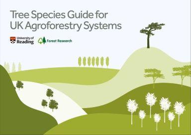 Tree Species Guide front page