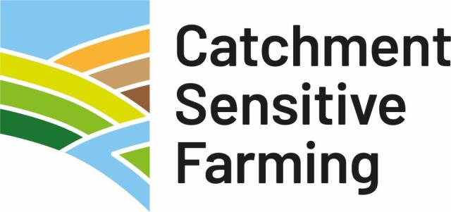 CSF Logo