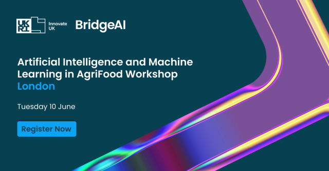 BridgeAI London Workshop advert