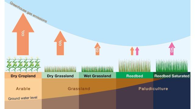 Image 1: Optimal water table depth for climate change mitigation. Defra Peatland Team