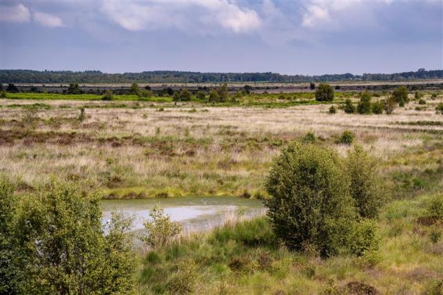 UK lowland peat landscape