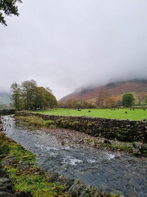 Foggy river valley