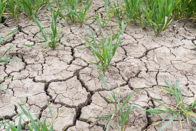 Drought land