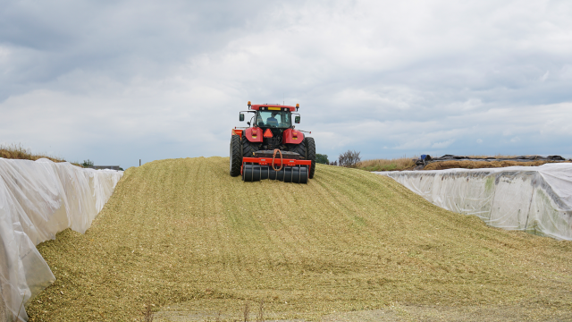 Silage