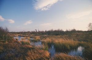 Peatland