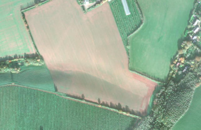 Image showing an erosion rill caused by runoff and soil loss.