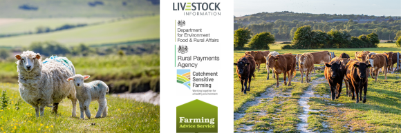 FAS Feb 26 Webinar banner