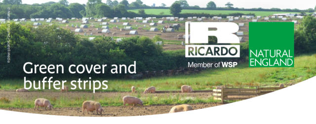 Natural England Outdoor Pigs guidance doc banner - Green cover and buffer strips