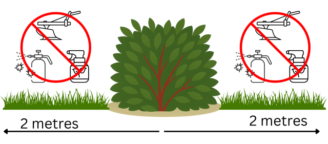 Infographic showing management restrictions for hedgerow buffer strips