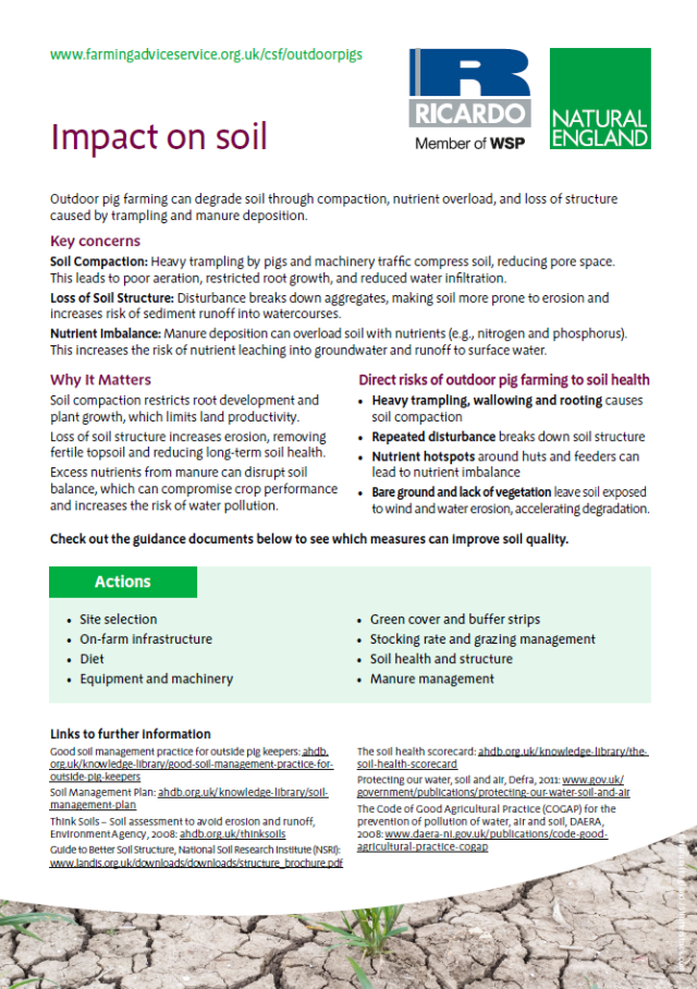 Natural England Outdoor Pigs Guidance - Impact on soil front page