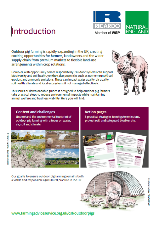 Natural England Outdoor Pigs Guidance - Introduction screenshot