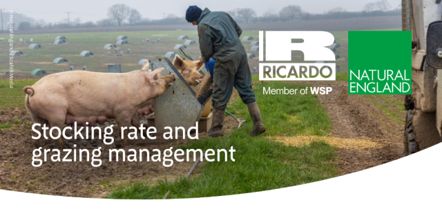 Natural England Outdoor Pigs guidance doc banner - Stocking Rate and Grazing Management