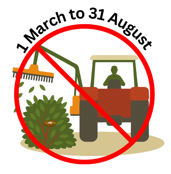 Infographic showing hedgerow cutting band 01 March - 31 August