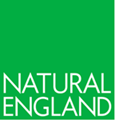 NE logo