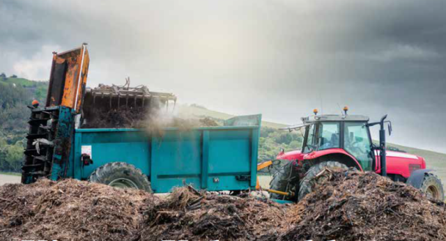 dung heap