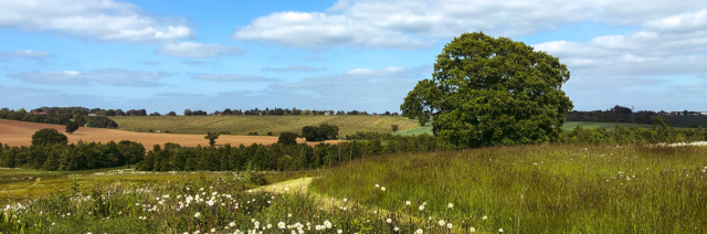 England farming landscape banner