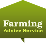 FAS logo 26 resized