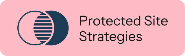 Protected Site Strategies logo with pink background