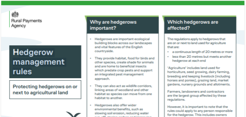 Image of hedgerow management rules leaflet content 