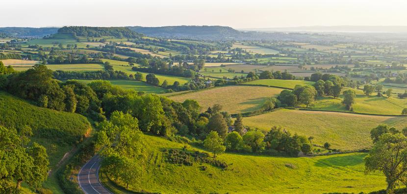 Farming landscape panoramic
