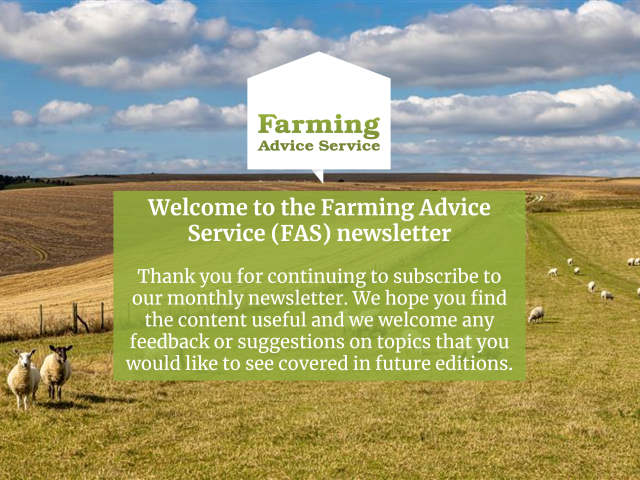 FAS Newsletter September 2025