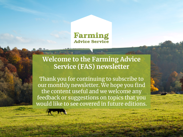 November 2025 Front Page