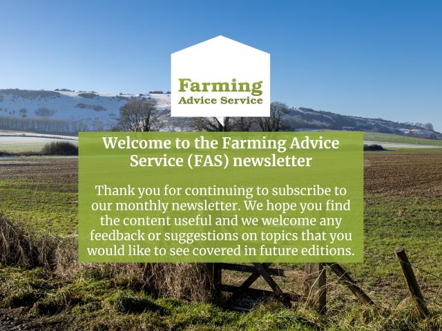 January 26 Front Page