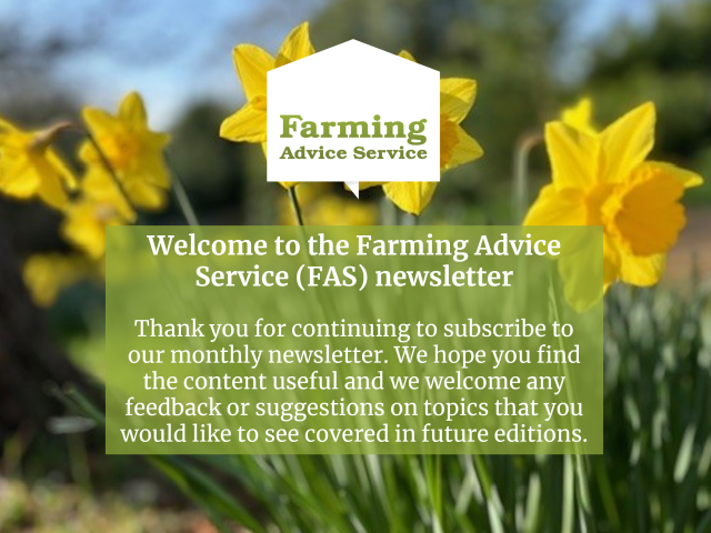 FAS Front Page March 2026