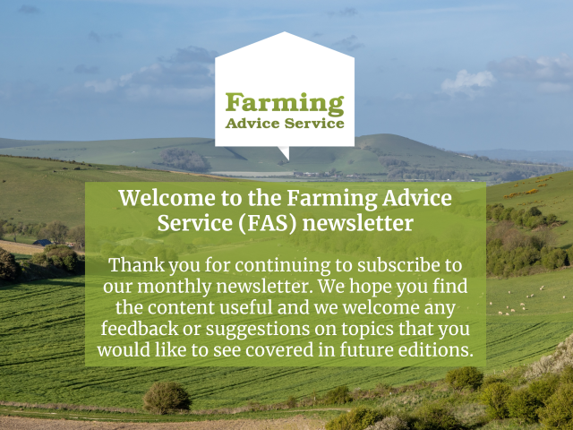 May Newsletter 26