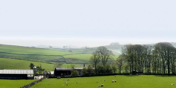 Panoramic farm view