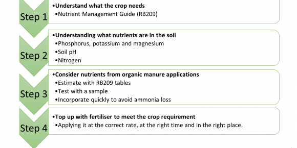 step by step nutrient management plan diagram