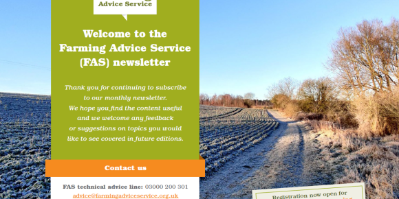 FAS January 2024 Newsletter Front page - Frost covered field