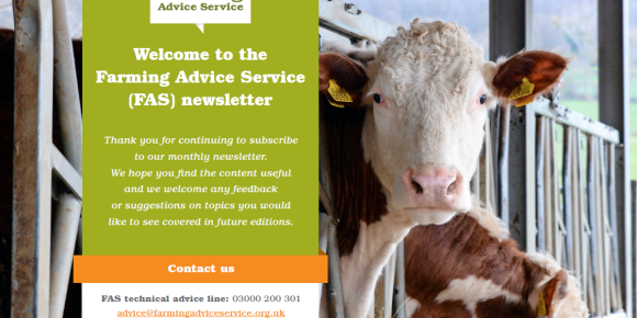 FAS Newsletter February 2024 Front Page - Cows in barn